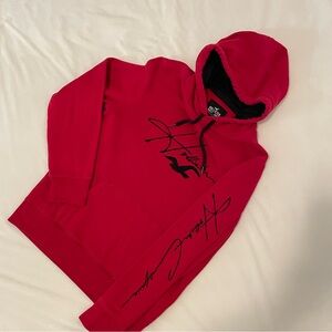 Men’s Hollister hoodie